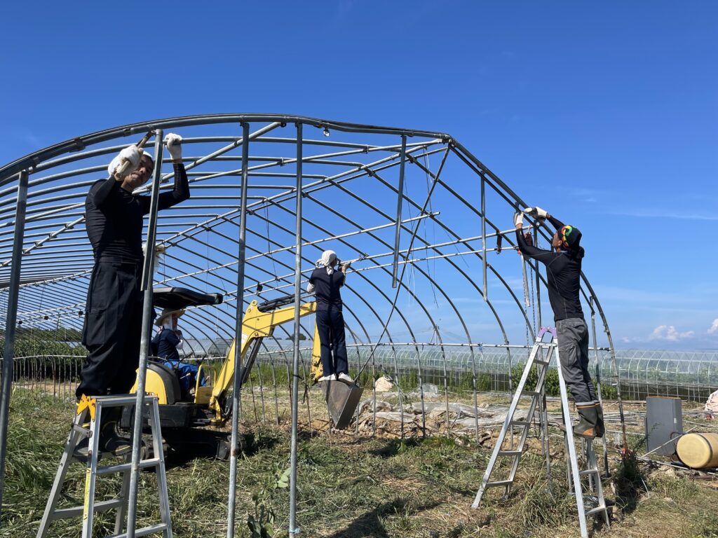 7月31日 島根県益田市 ビニールハウス解体リポート(2) - 株式会社いとうｆａｒｍ（いとうファーム）