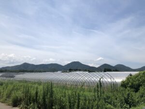 7月28〜29日　島根県益田市　ビニールハウス解体リポート(1)