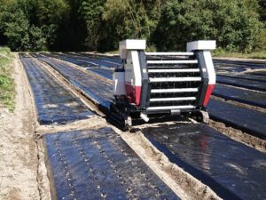 畝立てと植え付け【動画】