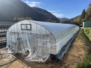 11月14・15日　ハウスのシート張り