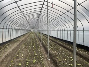 12月17日　ハウス雪対策作業