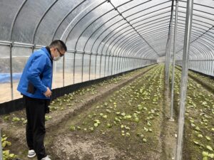 グループ役員　農場視察