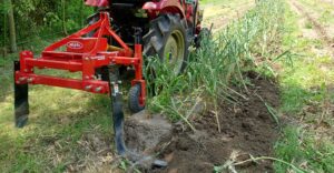 にんにく初収穫　～掘り取り編～