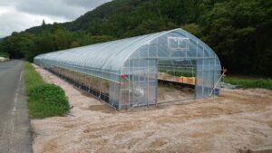 2022年度ハウス建設③