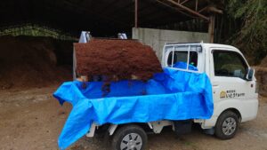 わさび植付前準備　～土づくり～