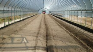 わさび植付前準備　～畝作り～