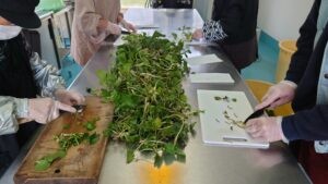 わさび漬け発売に向けて ～わさび漬け製造編～