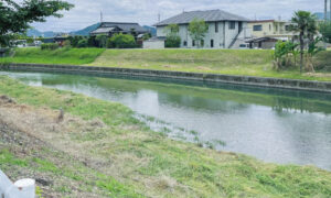 【2023年度春】地域社会貢献行事
