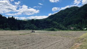 圃場整備と土壌改良《緑肥》