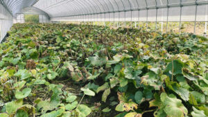 【10月】成長記録