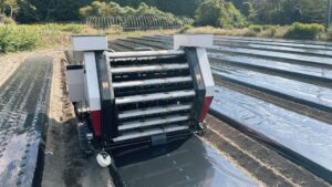 にんにく植え付け