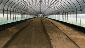 植え付け前準備《土づくり・畝立て》