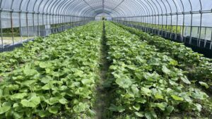 【4月】成長記録