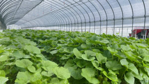 【5月】成長記録