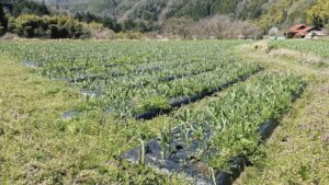 【4月】成長記録