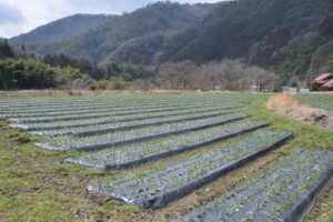 【３月】成育記録