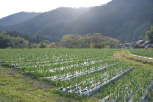 【4月】成育記録